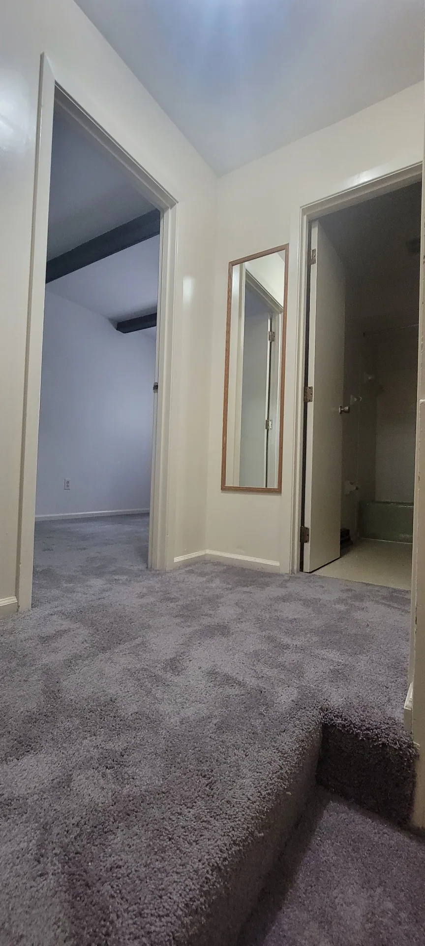 2022 Iuka Ave. upper hallway with mirror, fresh carpet, and doorways to the bedrooms and bath