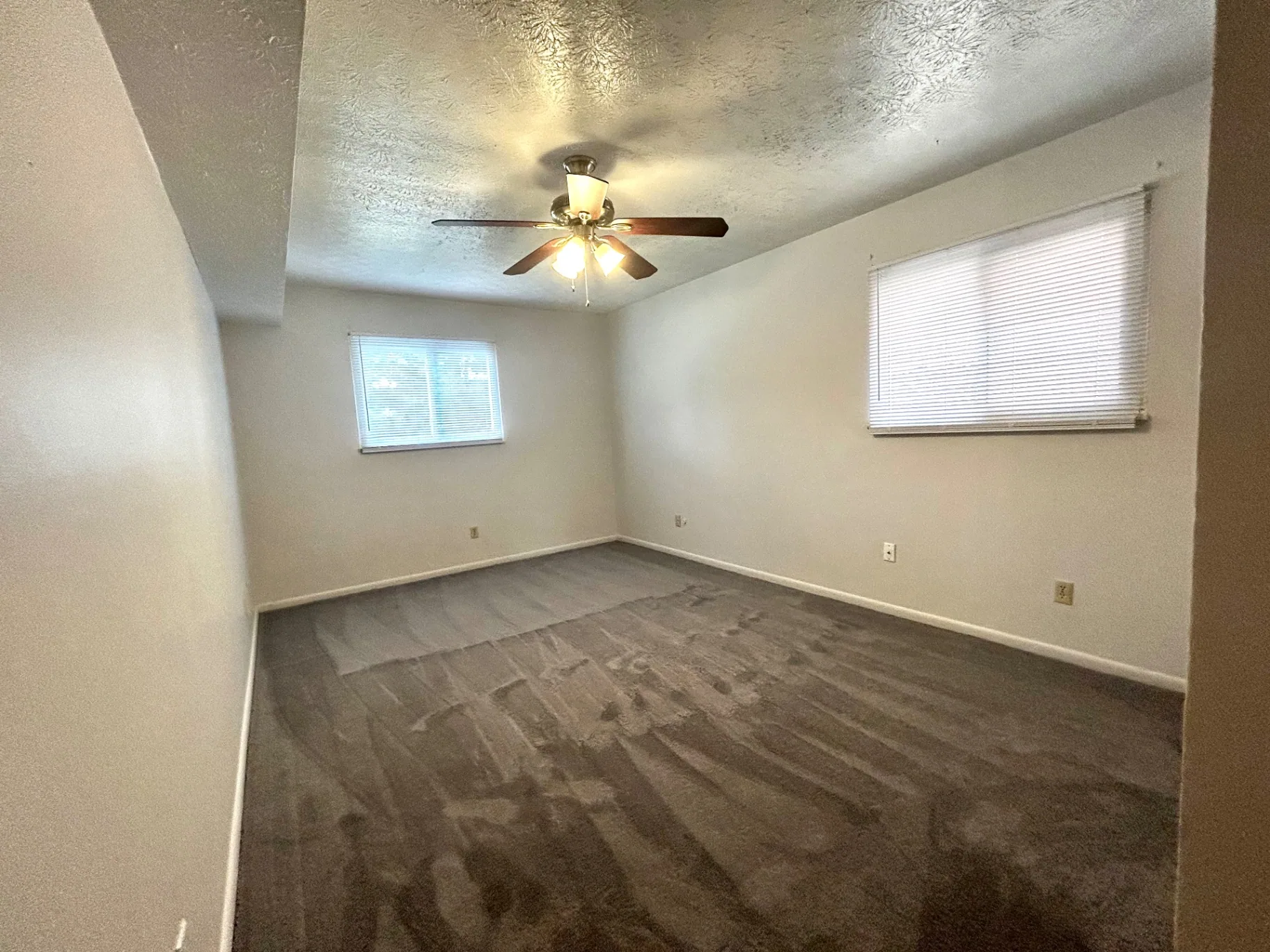 2150 N 4th St. Unit C second bedroom with two windows, ceiling fan, and carpet