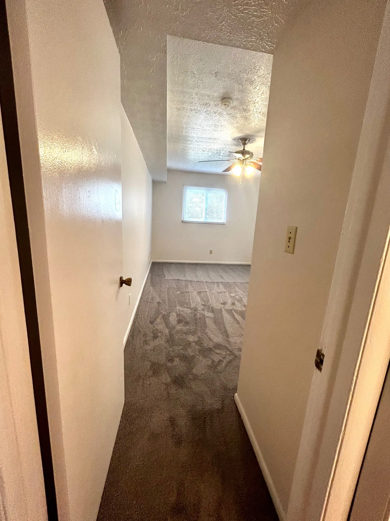 2150 N 4th St. Unit C bedroom with plush carpet, ceiling fan, and bright window