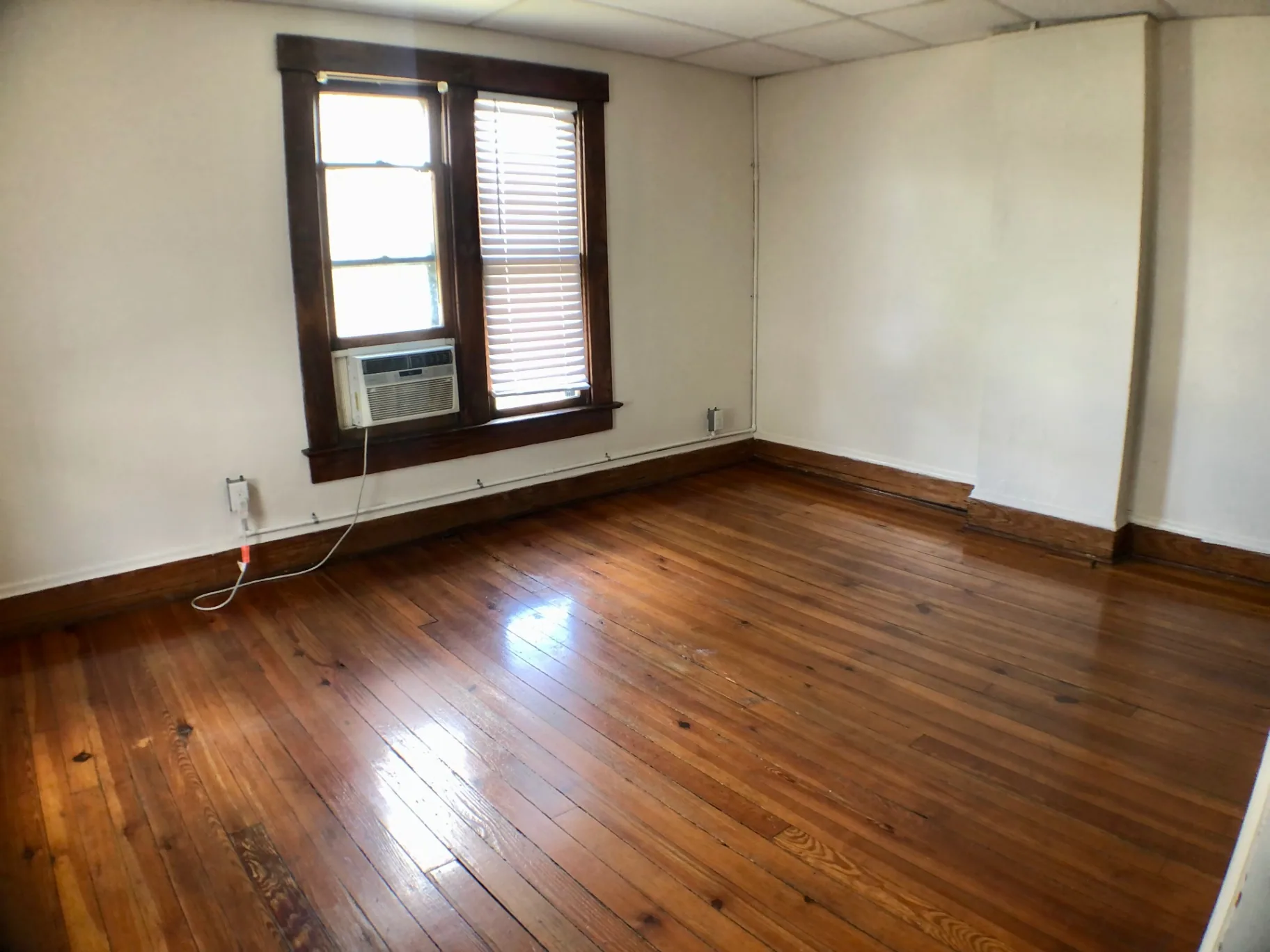 89 E Woodruff Ave. Unit A main room with refinished hardwood floors, bright window, and window AC