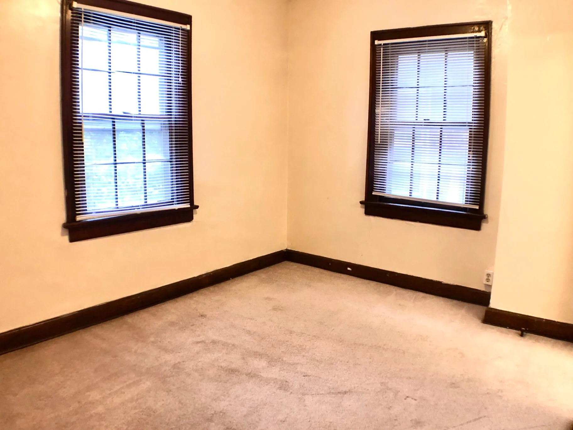 2054 Iuka Ave. D corner bedroom with two large windows and dark wood trim