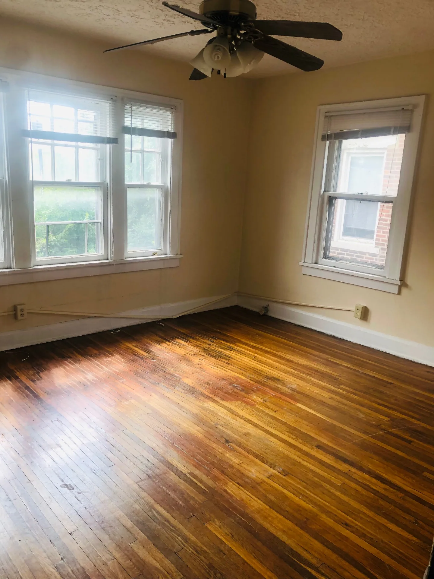2155 N 4th St. corner bedroom with large windows and hardwood floors