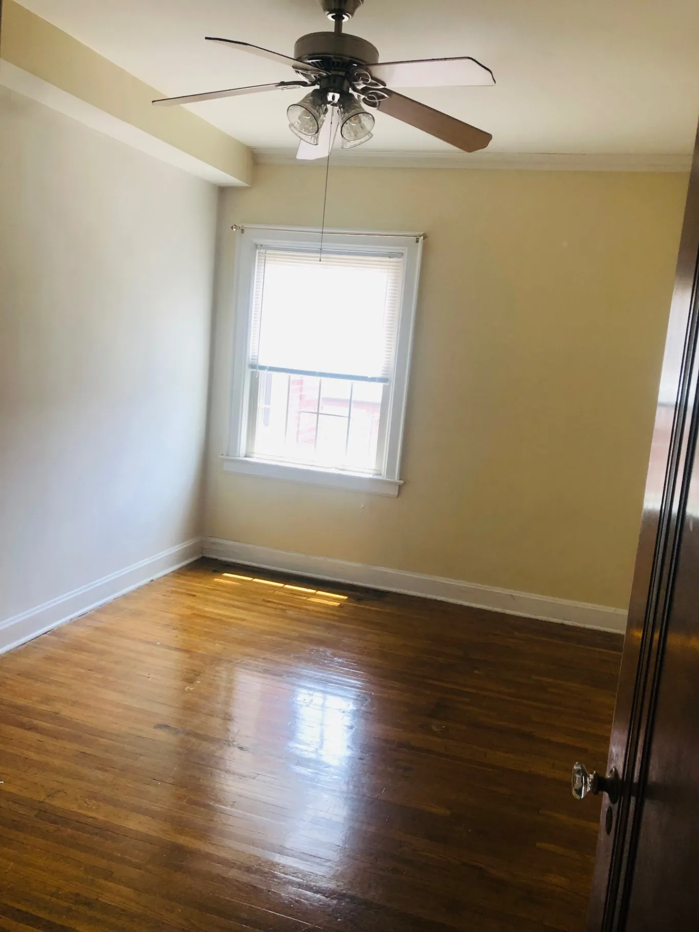 Unit K second bedroom with hardwood floors, ceiling fan, and crown molding