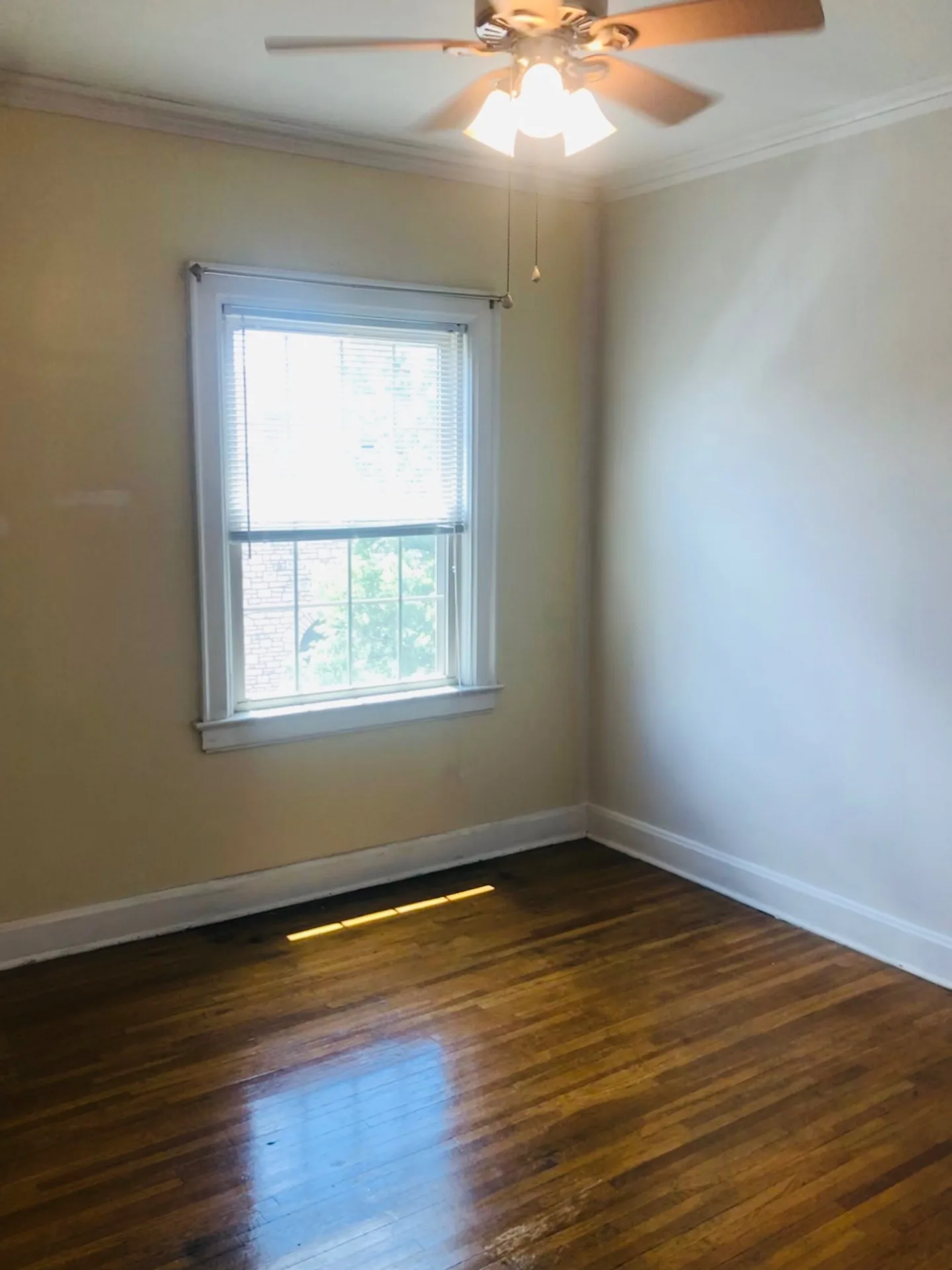 Unit K bedroom with hardwood floors, ceiling fan, and bright window