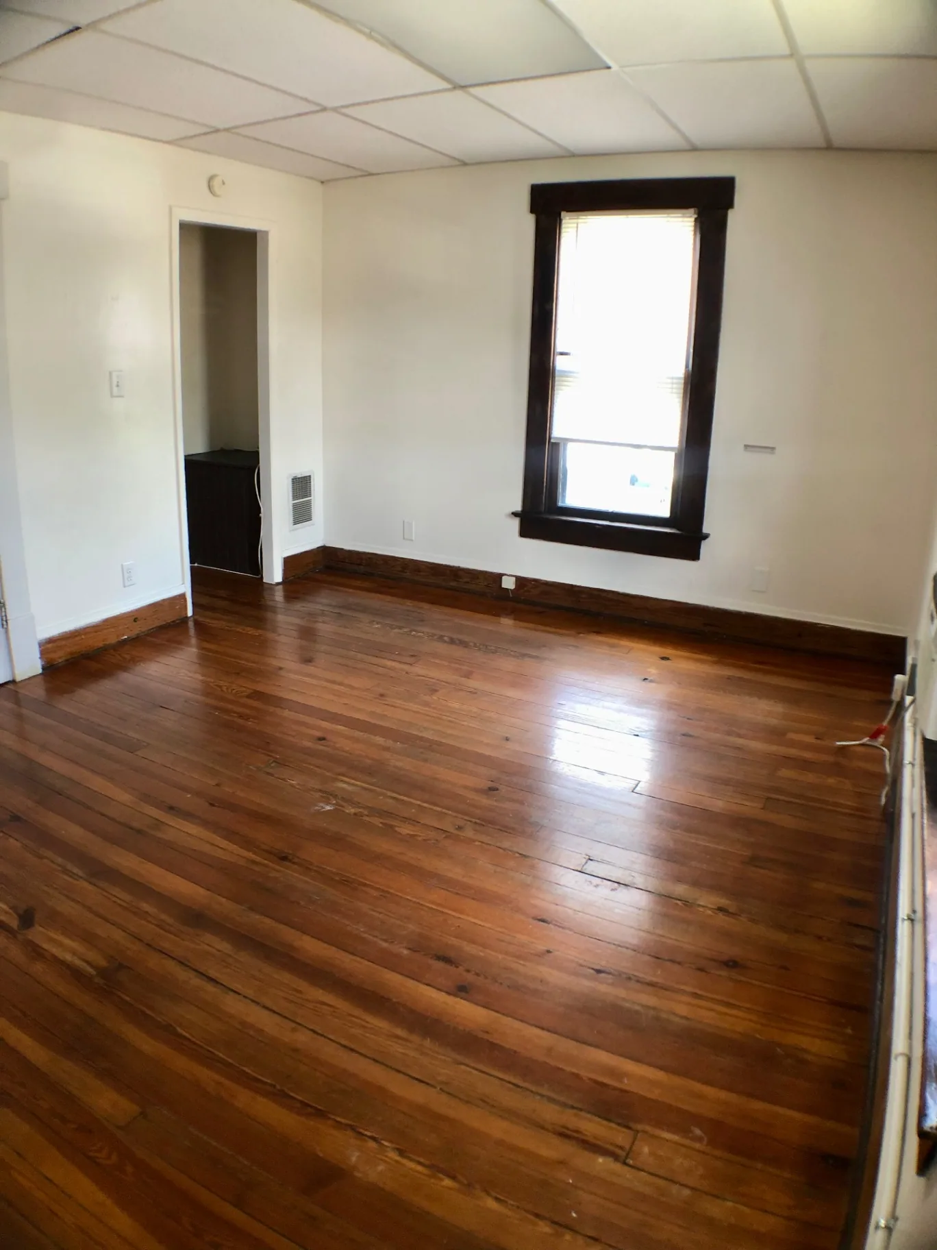 89 E Woodruff Ave. Unit A bright interior with tall window and refinished pine floors