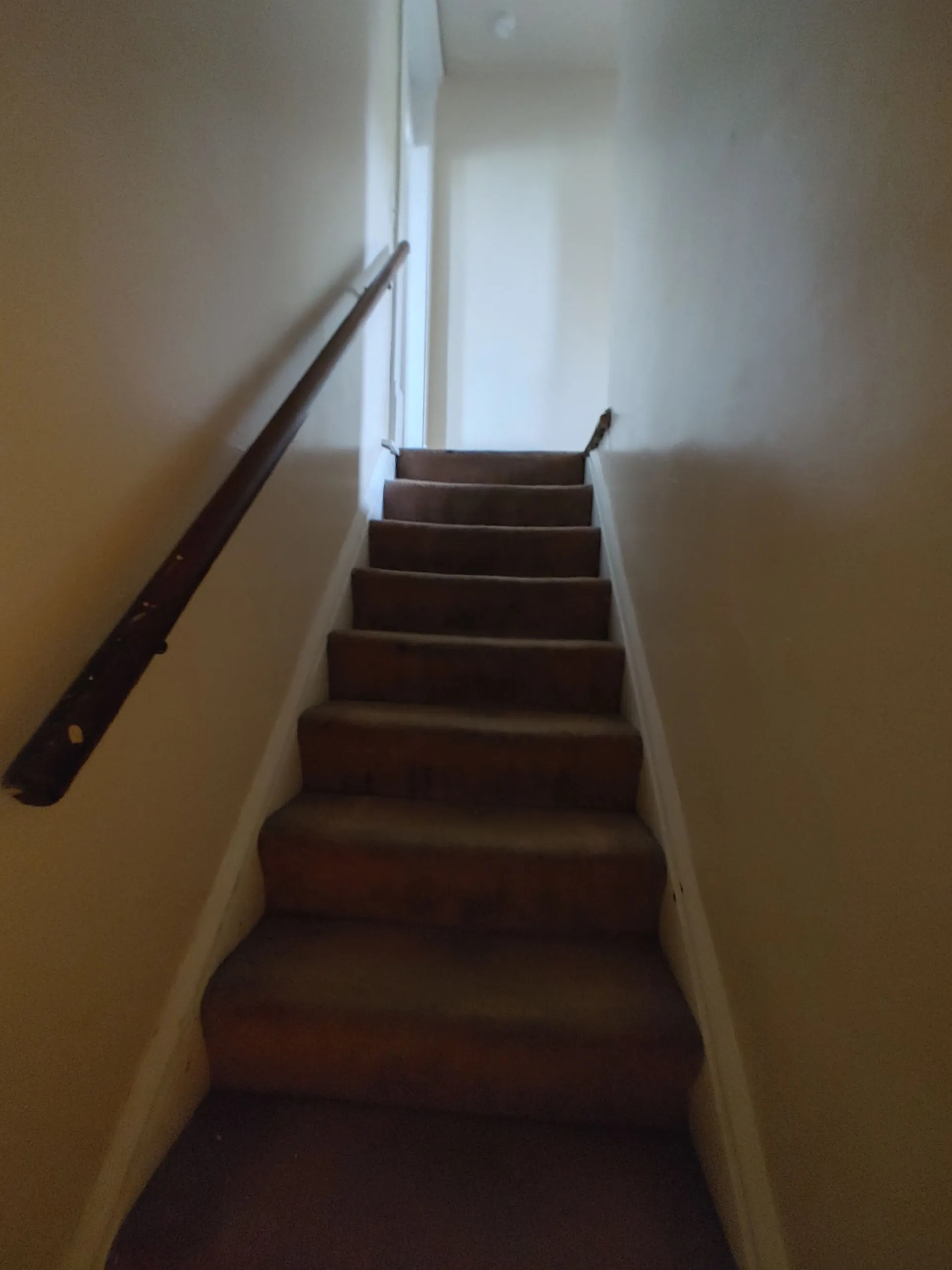 117 W 9th carpeted staircase leading to upstairs bedrooms