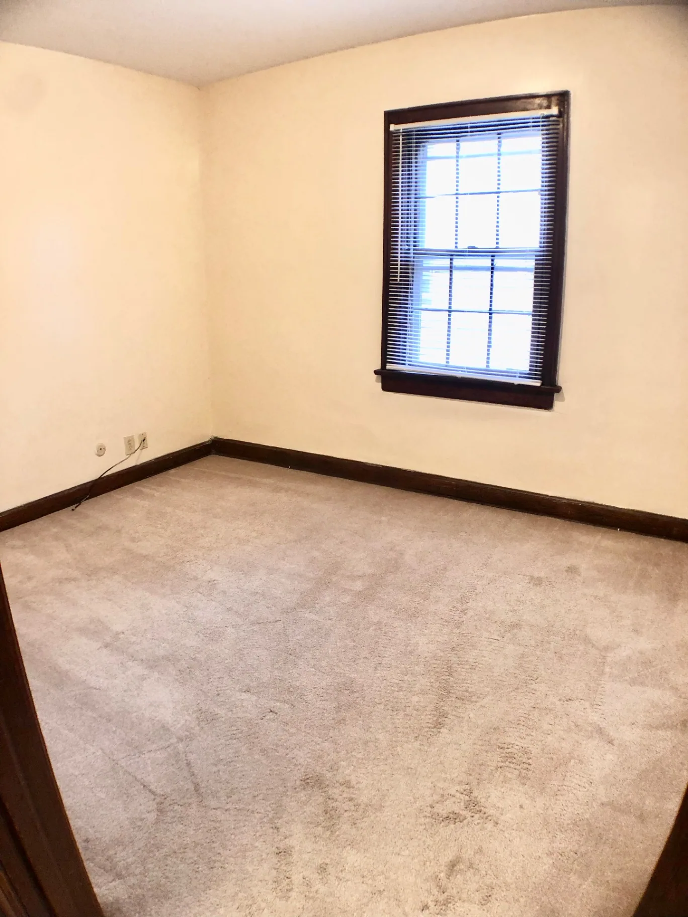 2054 Iuka Ave. D bedroom with fresh carpet, dark wood trim, and bright window