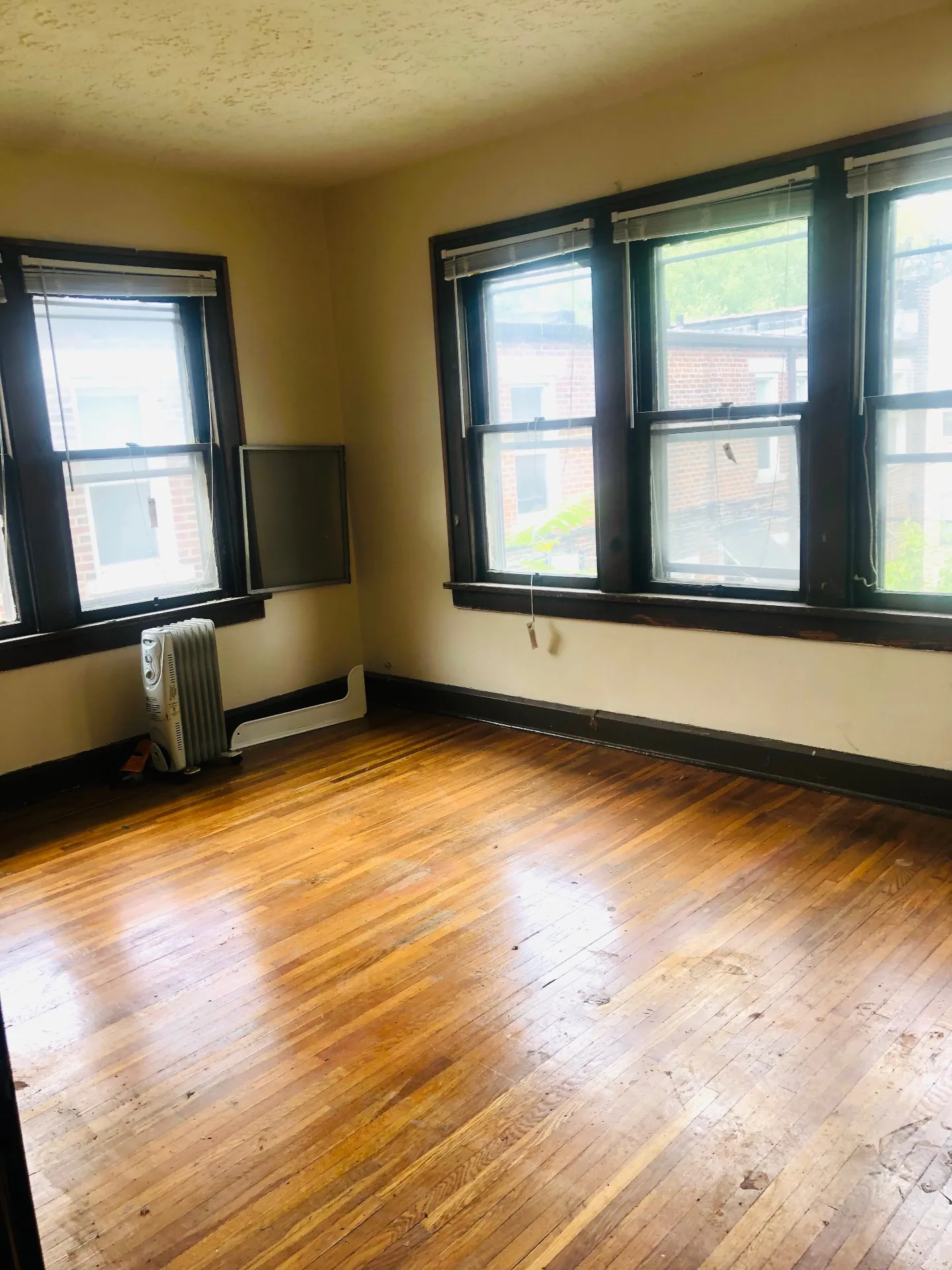 2155 N 4th St. bright bedroom with three large windows and hardwood floors