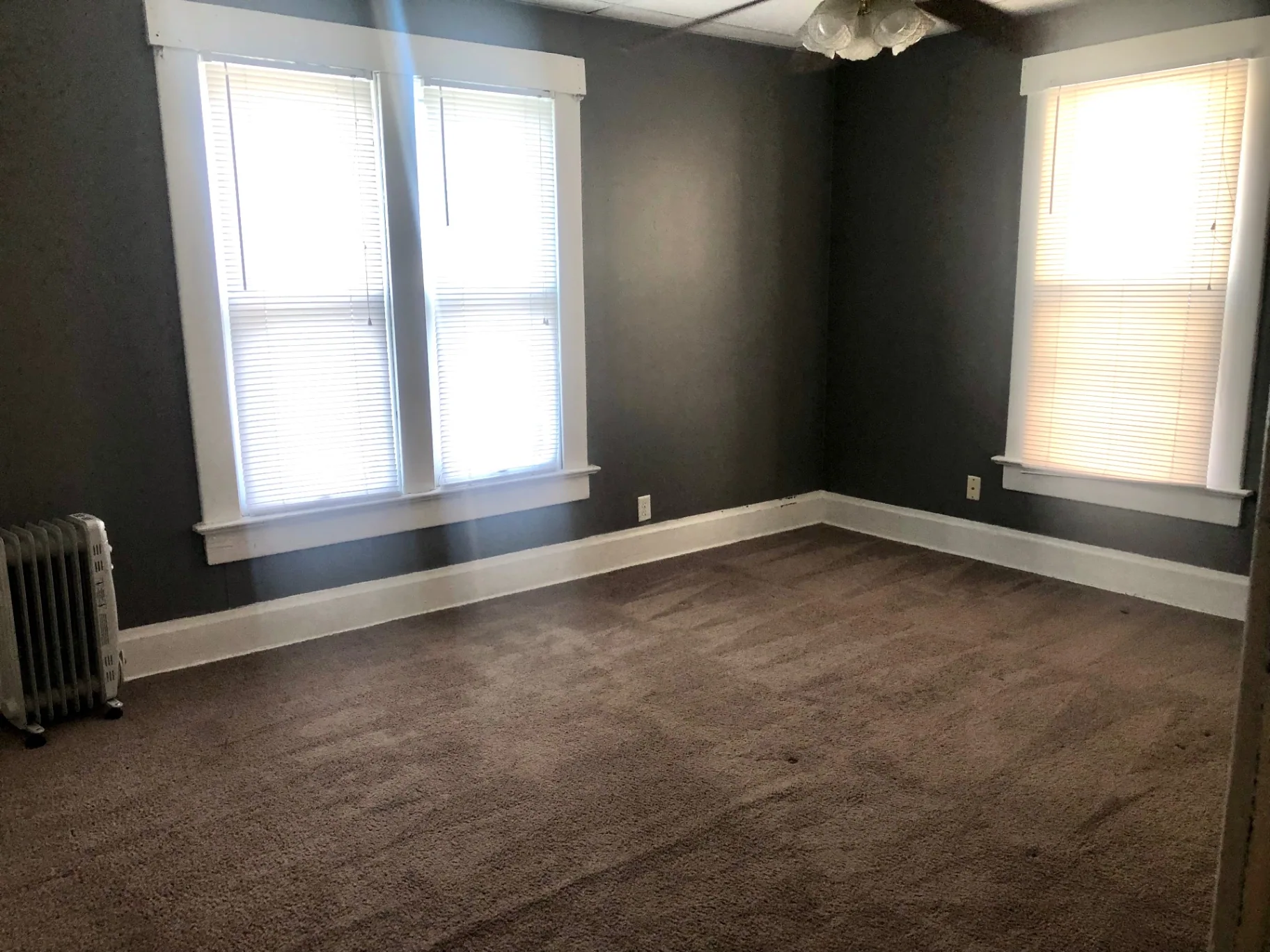 91½ E Woodruff Ave. spacious carpeted living room with dark accent wall and two bright windows