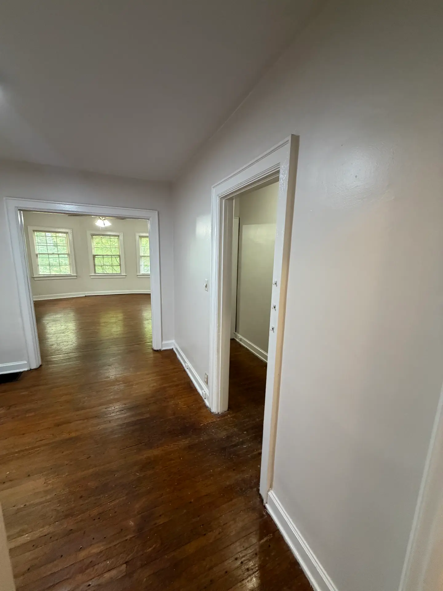 2048 Iuka Ave. D hallway looking toward the living room bay windows