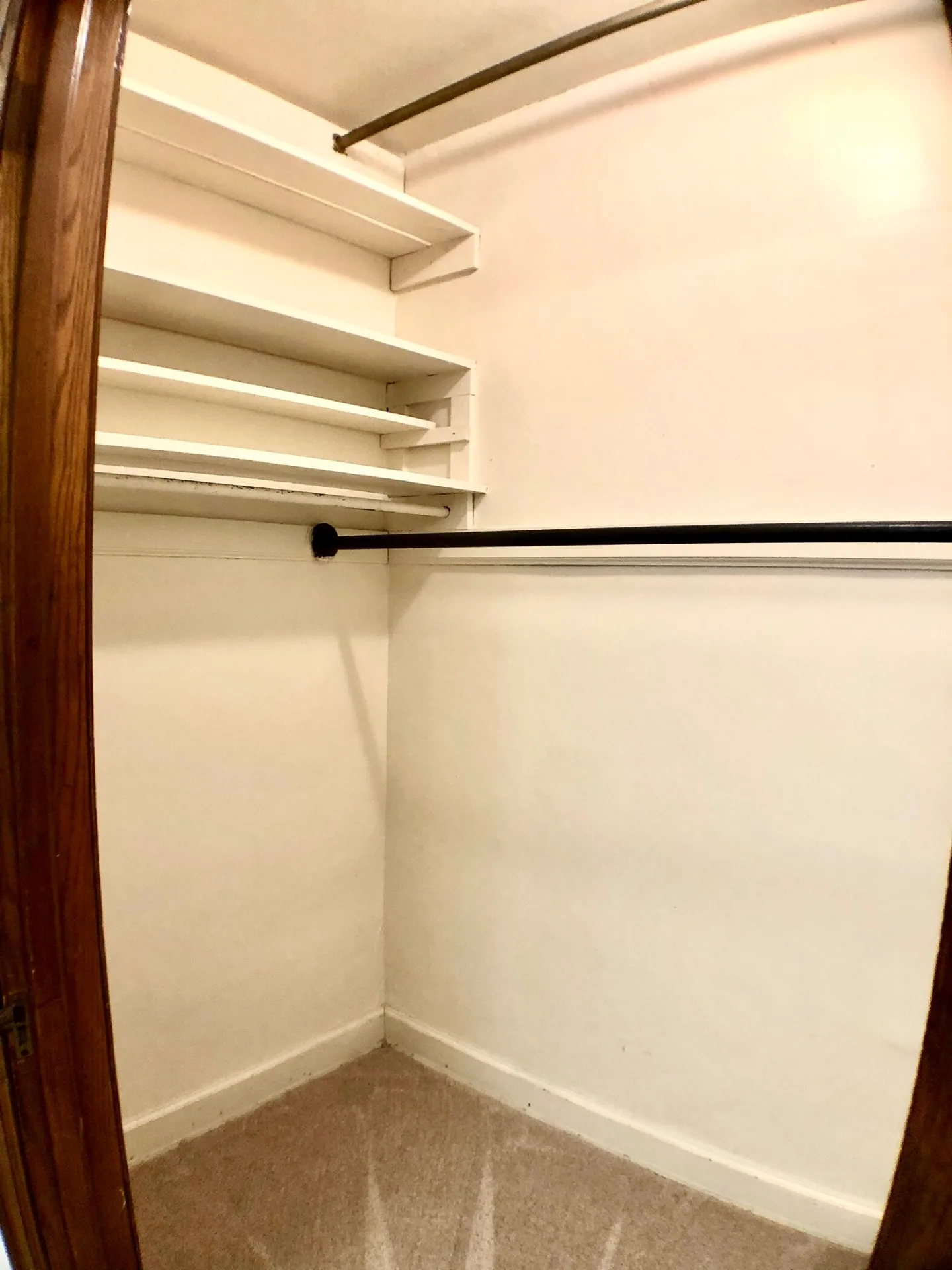 2054 Iuka Ave. D walk-in closet with built-in shelving and full-length hanging rod