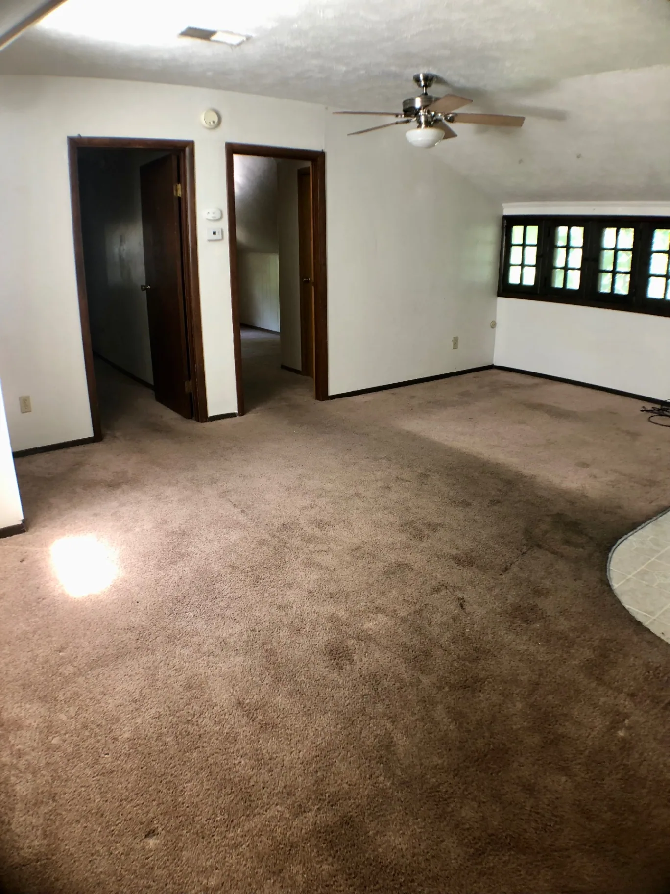 Wide open living room with ceiling fan, vaulted ceiling, and casement windows